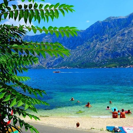 Bay Of Kotor View Apartment With Pool Prčanj Dış mekan fotoğraf